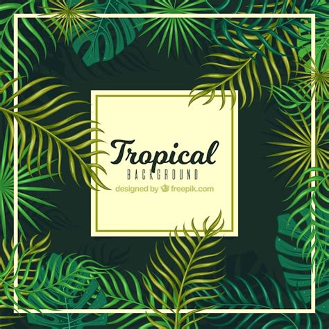 Free Vector Tropical Palm Leaves Background