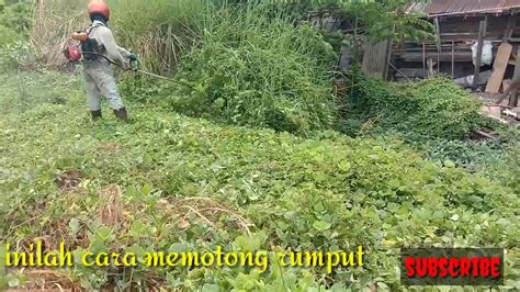 Jika pekarangan anda memiliki ukuan yang luas, memanggil tukang kebun adalah salah satu cara yang paling mudah apabila anda tidak memiliki waktu yang. Cara memotong rumput - YouTube