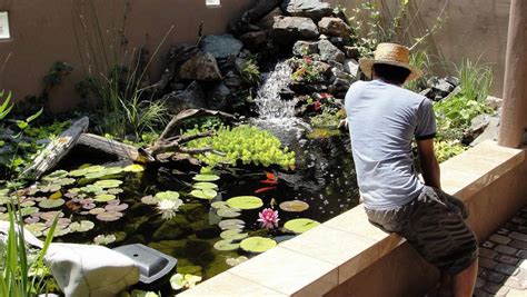 Contemporary above ground koi pond & water garden with bog waterfall. New raised pond construction ideas - help please ...