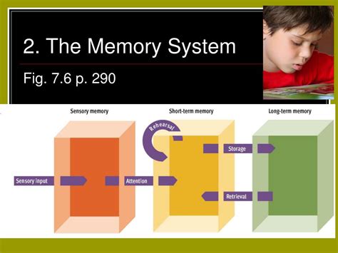 Ppt Chapter 7 Memory Powerpoint Presentation Free Download Id1804922