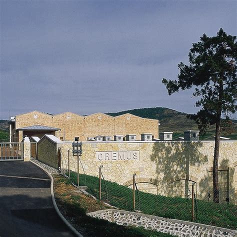 The site owner hides the web page description. 奥廉穆斯托刻伊阿苏甜白葡萄酒 - 咏萄everwines