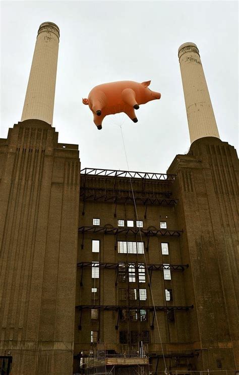 Pin by Silvio Leone on ROCK AND ROLL AND MORE. | Pink floyd art, Pink