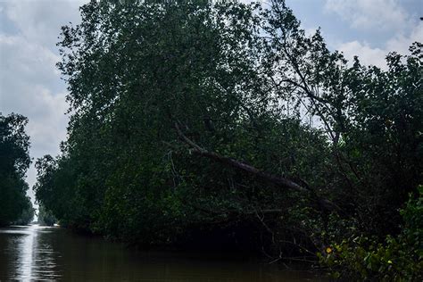 Kamu bisa mengunjungi agrowisata dan wisata pengetahuan bahkan camping dan. Tidak Lagi Terbakar, Dua Desa Ini Kembangkan Wisata Sejarah dan Ekowisata : Mongabay.co.id