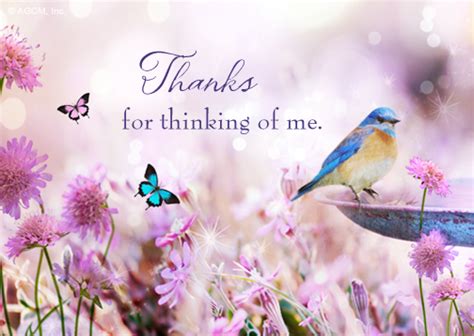 7 thanks for reminding me famous quotes: "Special Thanks Reply Card" | Thank You Postcard | Blue ...