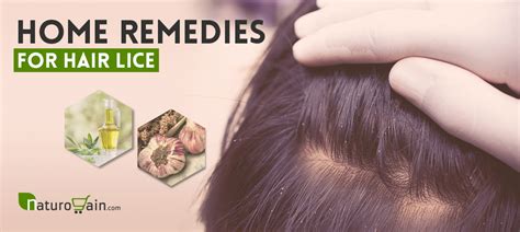 7 Home Remedies For Hair Lice Nits Natural Treatment That Work Fast