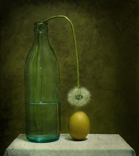 Unusual Photography By George Rustchev Still Life