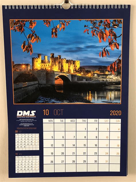 A3 2021 Calendars Bee Spotted
