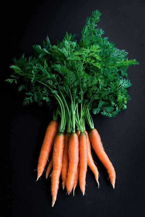 Field To Feast Carrots Vegetables Photography Food Photography