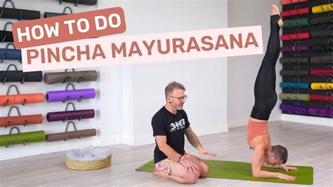 How To Do Pincha Mayurasana Tips For Forearm Balance Youtube