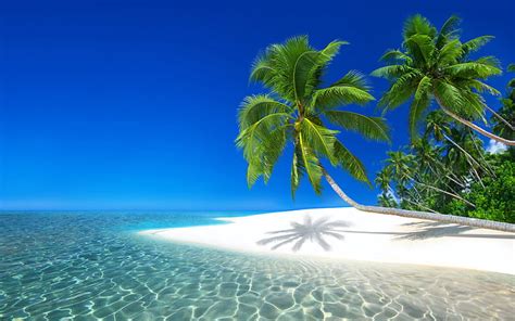 3840x2160px Free Download Hd Wallpaper Seychelles Resort Ocean