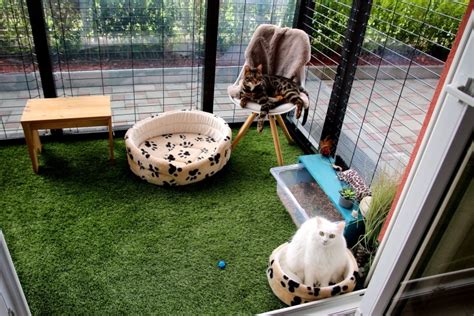 11 Diy Catio Plans You Can Build Today With Pictures Pet Keen