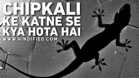 Kishore kumar ka asali naam kya hai. Chipkali ke katne se kya hota hai - हिंदीFIED