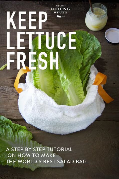 It's important to keep salad fresh and all the. How to Keep Lettuce Fresh | DIY Salad Bag |The Art of ...
