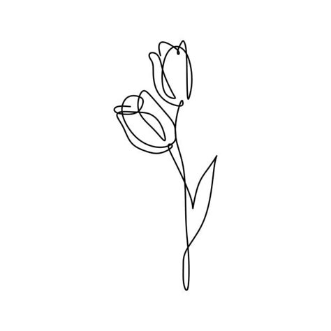 Learn how to draw simple flower line pictures using these outlines or print just for coloring. Pin on i- ️