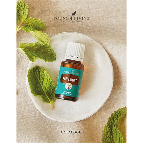 29283 likes · 665 talking about this · 5883 were here. Virtual Catalogi | Young Living Essential Oils