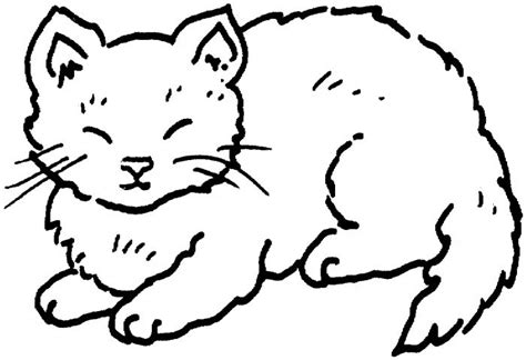 Cute Fat Cat Drawing at GetDrawings | Free download