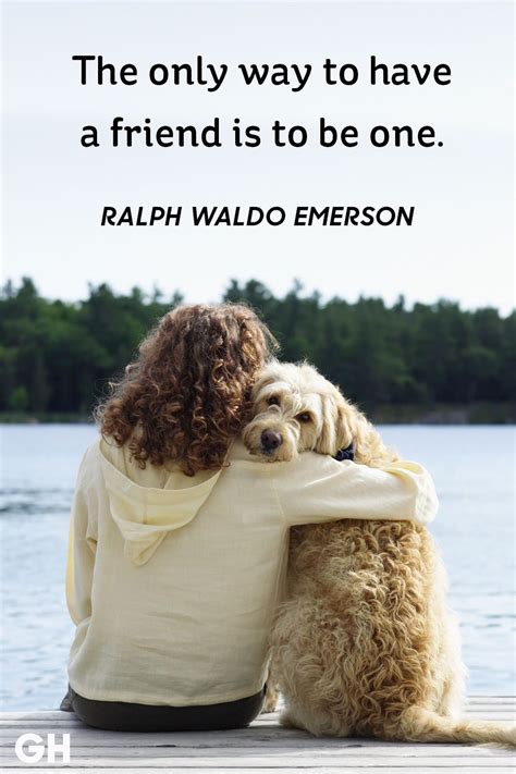 60 Friendship Quotes To Share With Your Besties A Girl And Her Dog