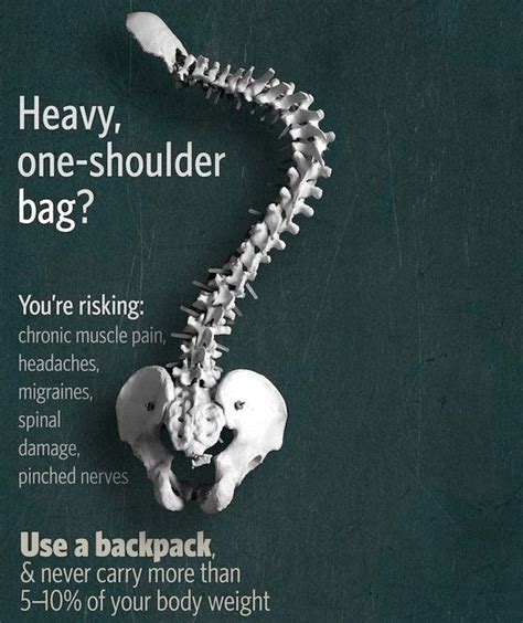 Backpacks Bags Purses Ergonomics Align Chiropractic Wellness Center