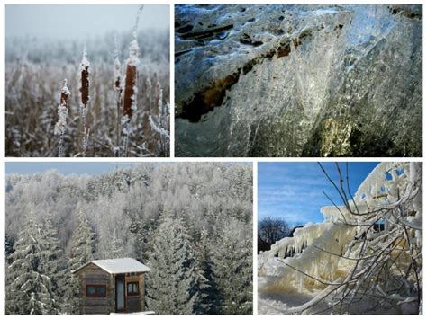 Spėjo pagauti žiemą: užburiantys gamtos vaizdai - Grynas.lt