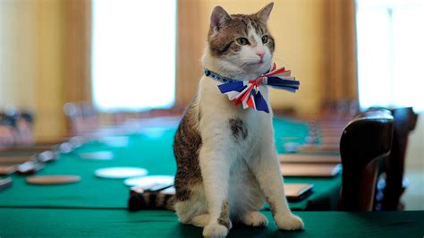 Larry The Cat Companion To Britains Prime Ministers Marks A Decade