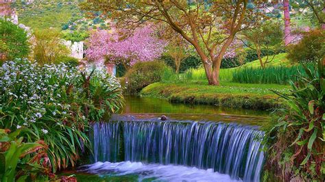 Beautiful Spring Background Wallpaper Hd Live Wallpaper Hd