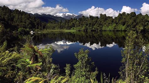 Wallpaper Landscape Forest Lake Nature Reflection National Park