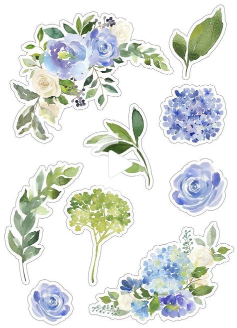 beautiful flowers perfect for decoration in my bullet