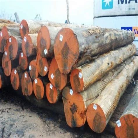 Wooden Timbers Timber Logs Manufacturer From New Delhi