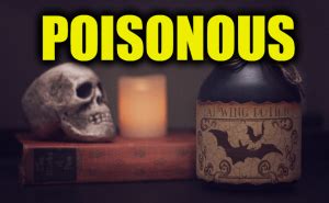 Use Poisonous In A Sentence How To Use Poisonous In A Sentence