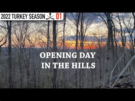 Gobblers At Yards Tennessee Opening Day Youtube