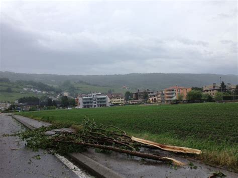 Jedes jahr werden in der schweiz ackerbaubetriebe stark vom hagel getroffen. Schweiz - Hagel verursacht Millionen-Schäden - News - SRF
