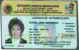 Mexican Driver''s License Photos