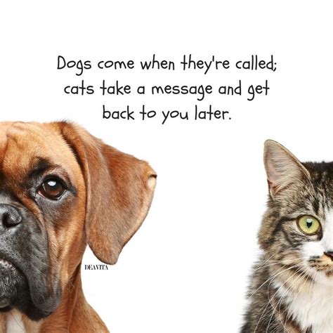 Cat And Dog Quotes