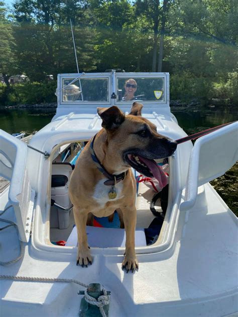 The boston whaler lineup mixes premium amenities with superb quality. 1968 Boston Whaler Menemsha 1 of 230 pocket cruiser Cuddy ...