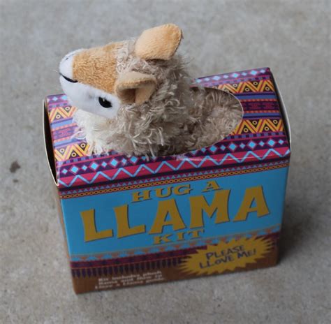 Kit Hug A Llama Campbells Online Store