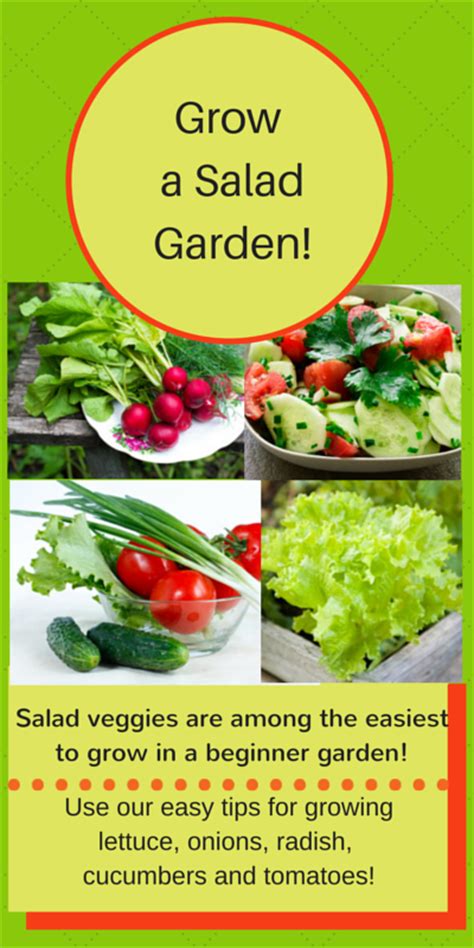 We did not find results for: Beginner Vegetable Garden Free Plans, Pictures, and Worksheets