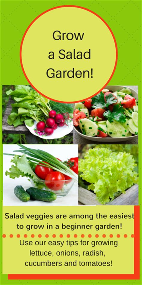 Plangarden vegetable gardening design software is the perfect vegetable gardening application for assisting in planning and logging your related: Beginner Vegetable Garden Free Plans, Pictures, and Worksheets