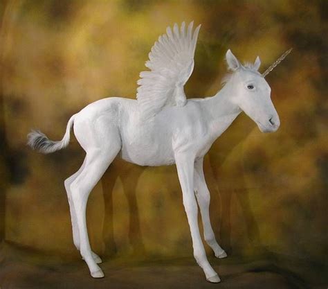 32 Best Pegasus Images On Pinterest Horses Pegasus And Angel