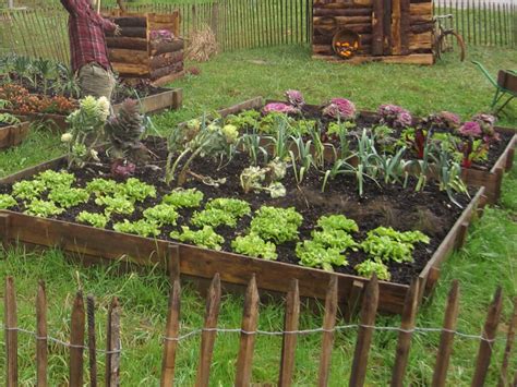 Les différentes astuces pour son jardin potager Grands Mamans com