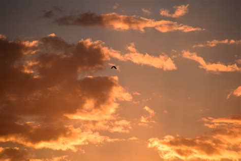 fotos gratis paisaje naturaleza ligero nube amanecer puesta de sol luz de sol mañana
