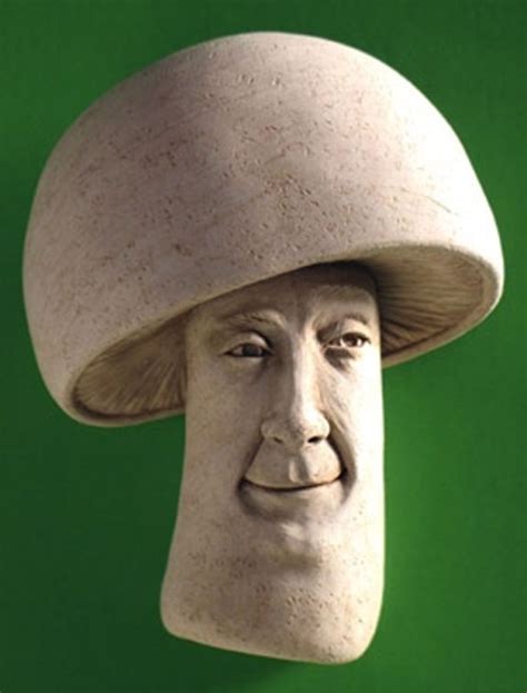 Mushroom Shroom Face Fun Guy Plaque Cast Cement Fungi In Stuffed