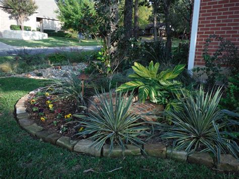 See more ideas about shrubs, plants, landscape. Texas Landscaping Ideas - Fort Worth, TX | Low Water ...