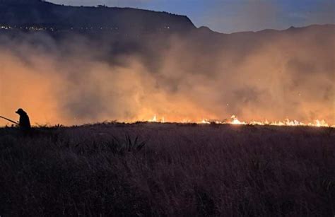 Incendios Forestales Destruyen Más De 1400 De Hectáreas En El Azuay