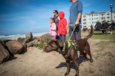 Pet-Friendly Adventures in and around Rockaway Beach - Rockaway Beach