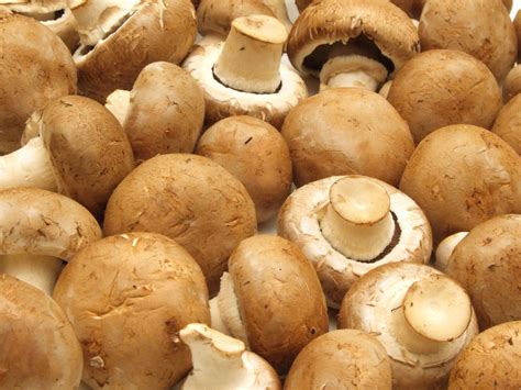Aggiungete i funghi e lasciateli cuocere per circa 8 minuti, dopodiché scolateli e fateli asciugare nello scolapasta. Ricette con Funghi champignon sott'olio