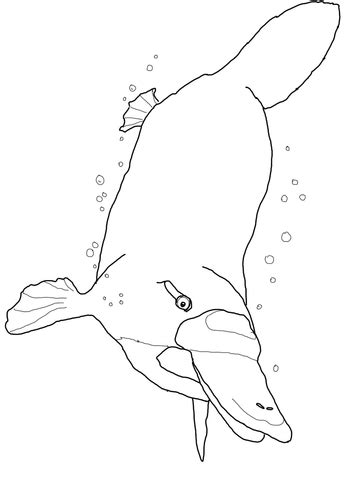 Search through 623,989 free printable colorings at getcolorings. 301 Moved Permanently