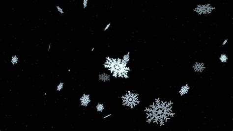 Snow Snowflakes Falling Down Looping 4k Stock Footage Video 100