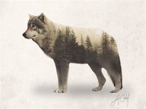 Wolf Double Exposure Animal Portraits By Lunaroveda On Deviantart