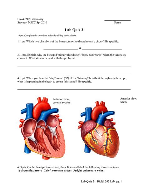 Heart Anatomy Diagram Quiz