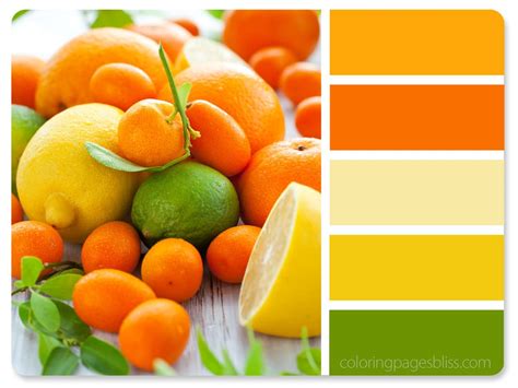 Nature Inspired Color Palettes